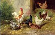 poultry  127 unknow artist